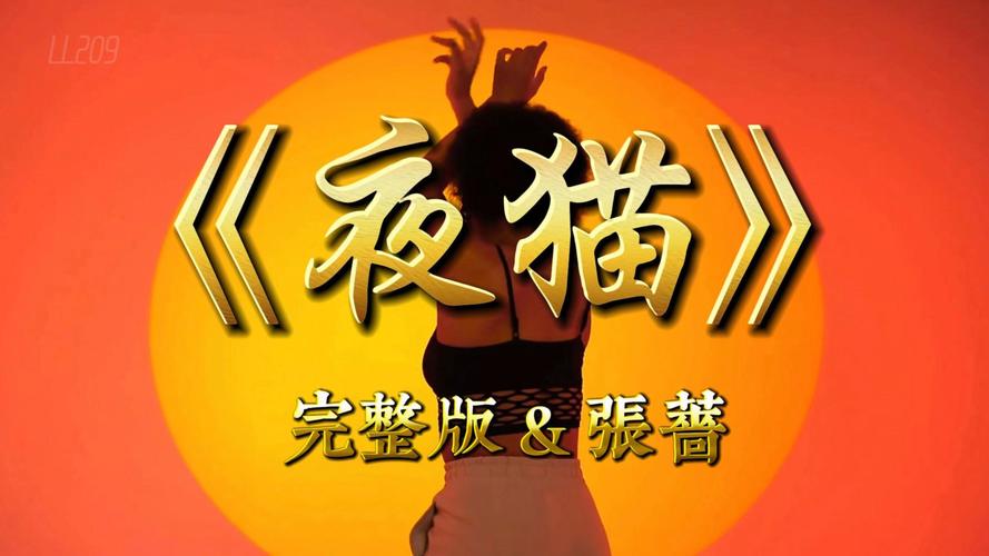 夜猫视频2026