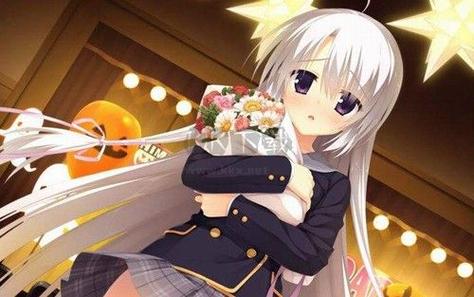 魔女的夜宴下载2026