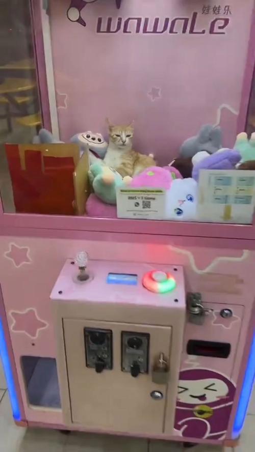 猫抓下载2026