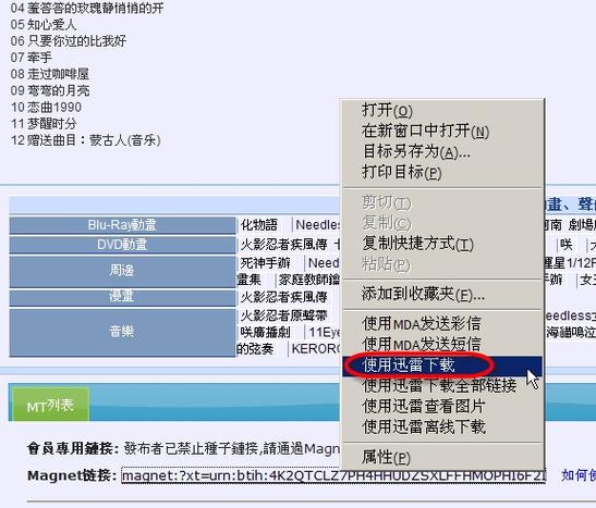 下载 magnet2026