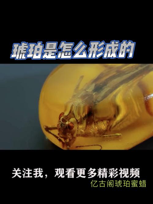 琥珀app下载2026