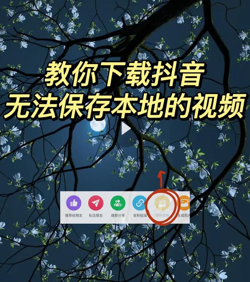 下载料音2026