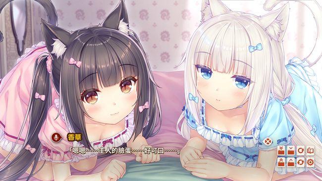 猫娘乐园下载2026