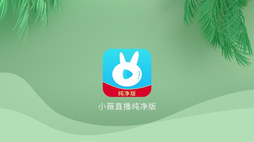 小薇直播下载2026