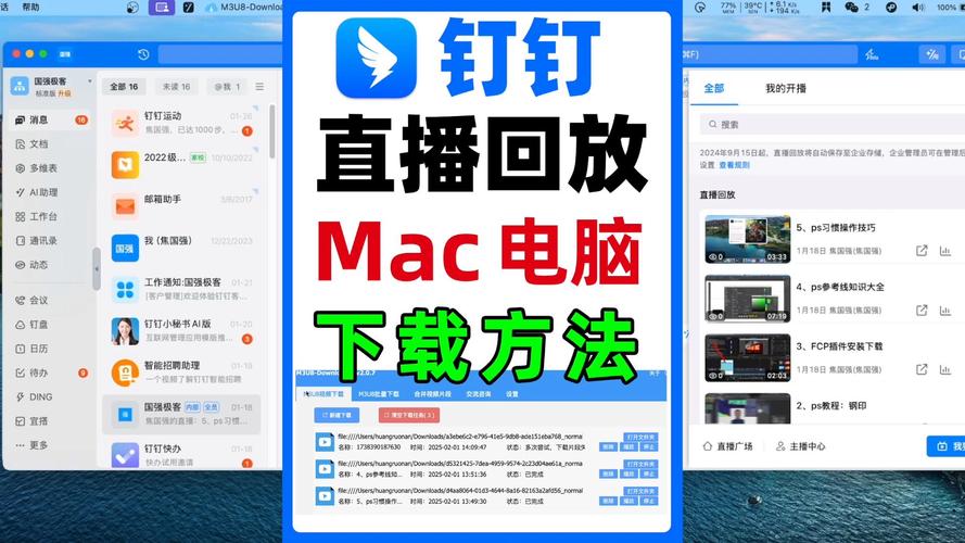 直播回放怎么下载2026