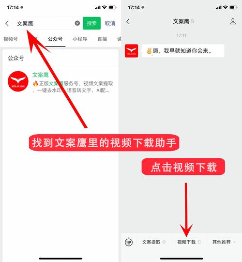 视频分享2026