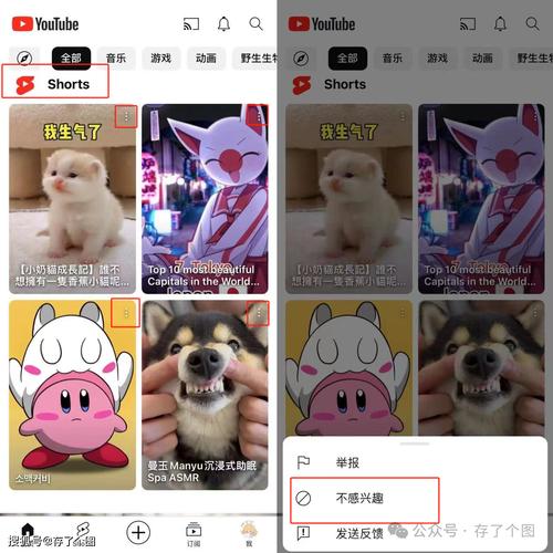油管youtube官网下载2026