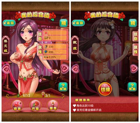 后宫视频2026