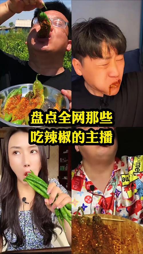 主播 下载2026