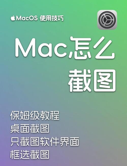 mac下载软件2026