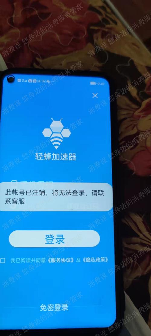 轻蜂加速器下载2026