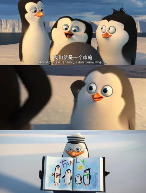 企鹅影院手机版下载2026