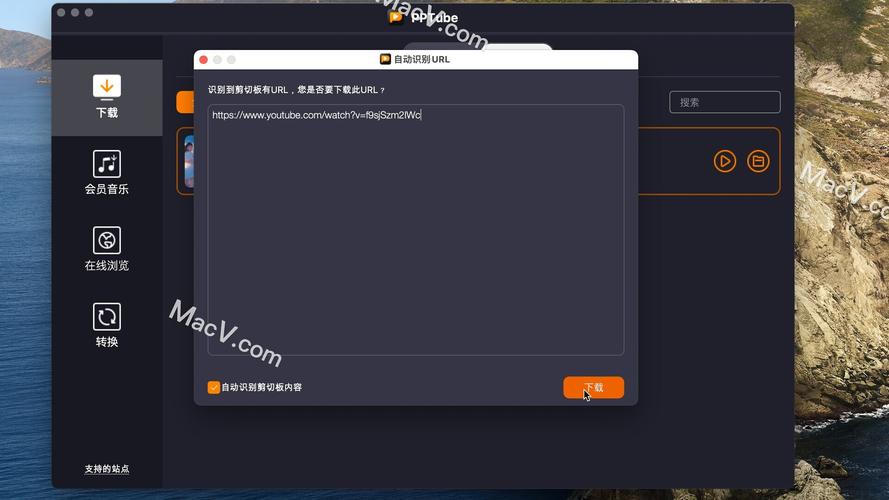 pp视频网2026