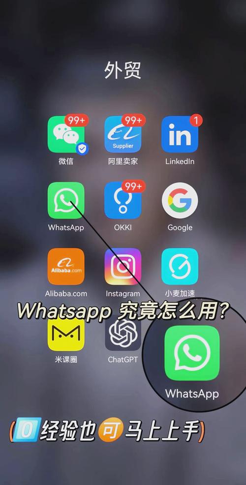 whatapp下载2026