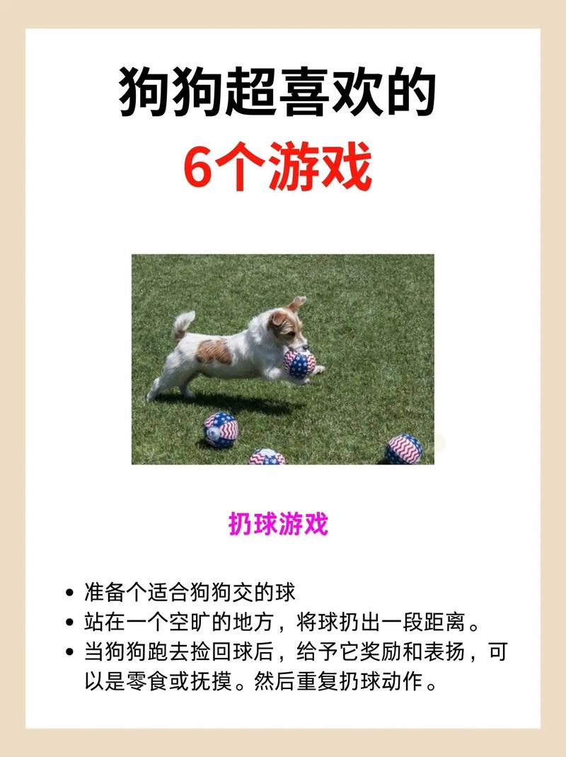养小狗小游戏2026