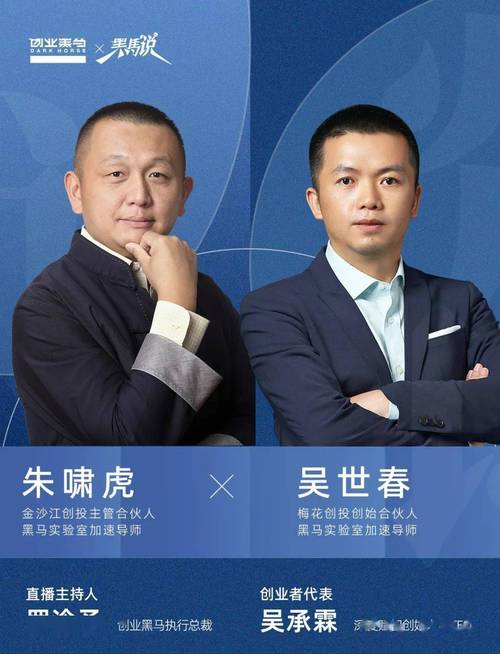 中国合伙人下载2026