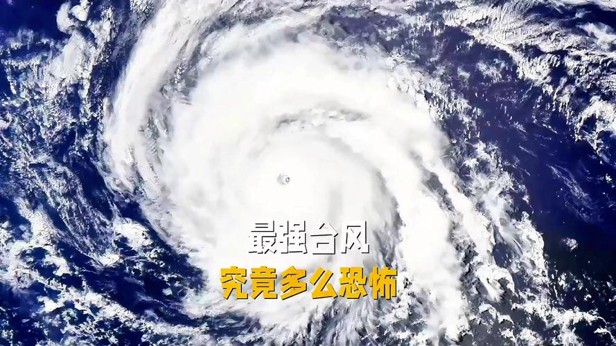 台风视频2026