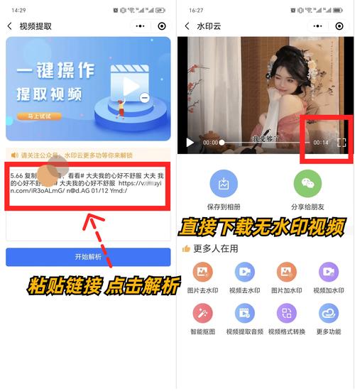 红杏视频2026