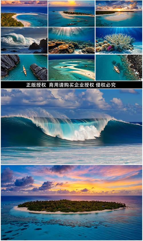海洋视频2026