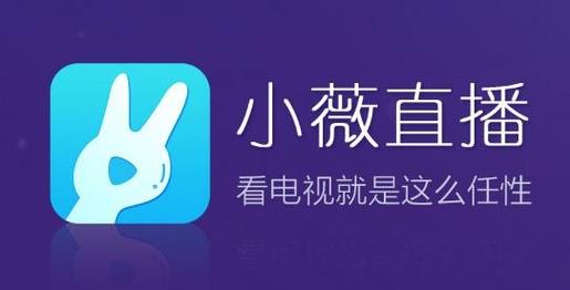 小薇直播下载2026