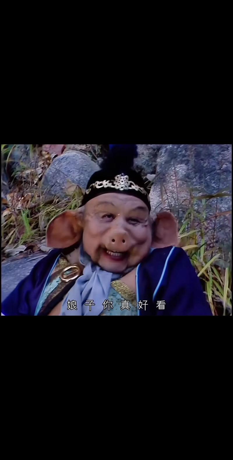 八戒视频2026