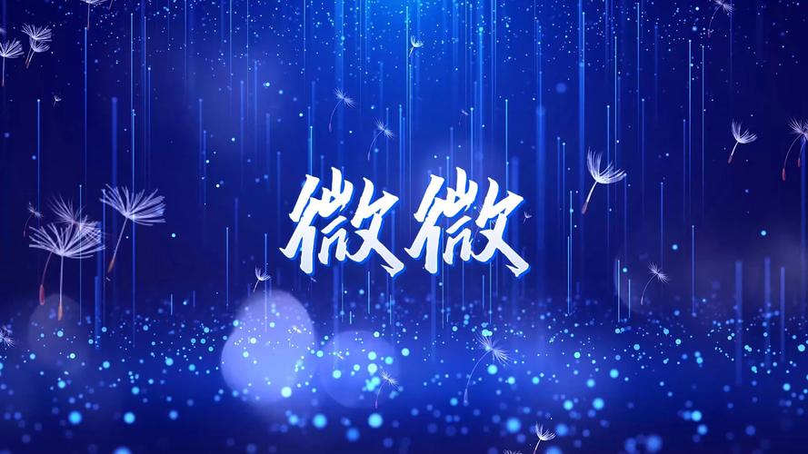 微微视频2026