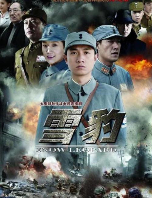 雪豹视频2026