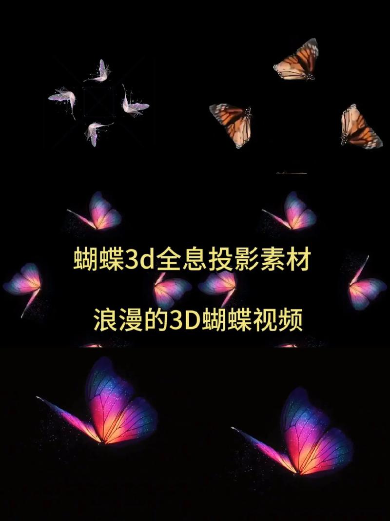 蝴蝶视频2026