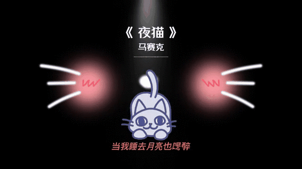 夜猫视频2026