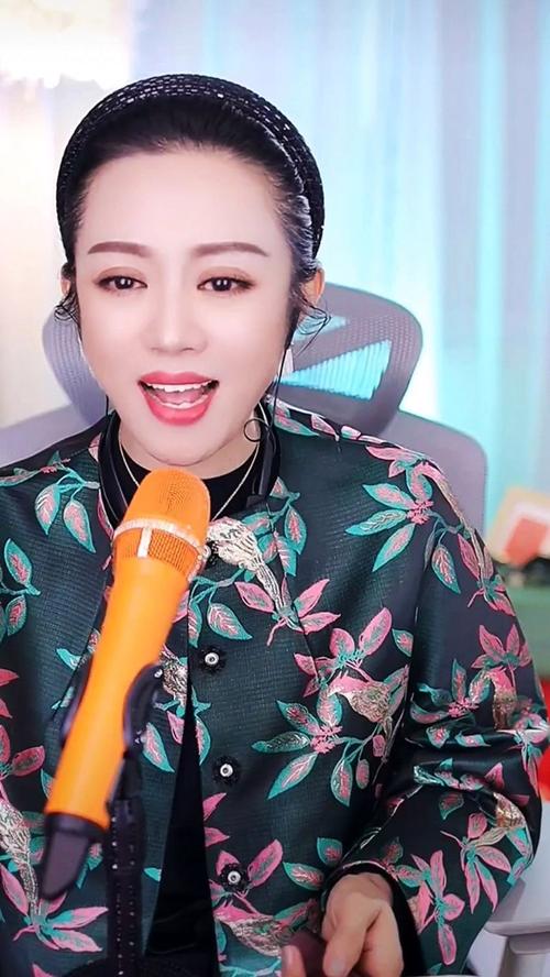 东北二人转下载2026