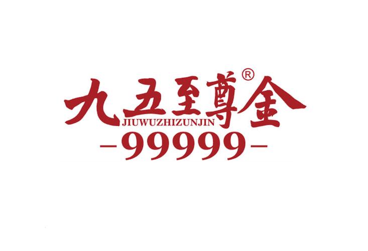 九五至尊下载2026