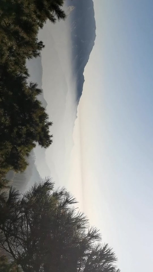 黄骅尖子顶手机版2026