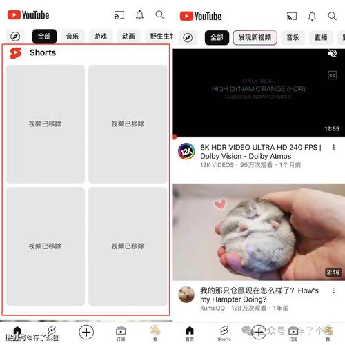 youtube加速器下载2026