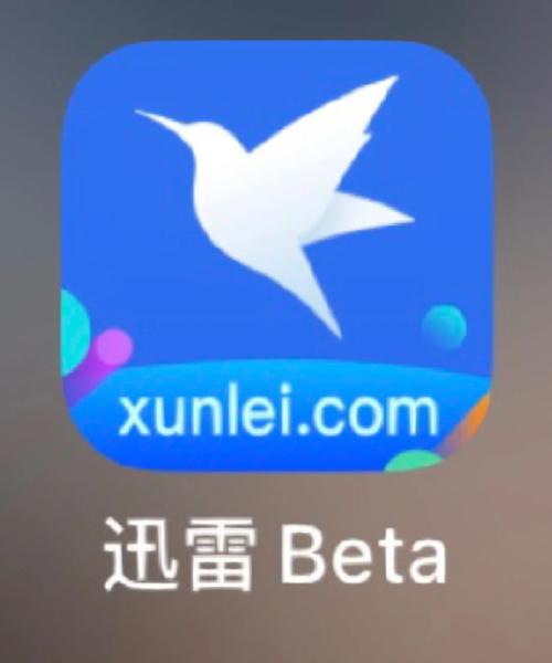手机迅雷下载2026
