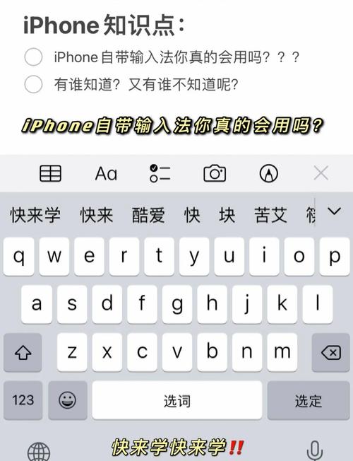 苹果的下载软件2026