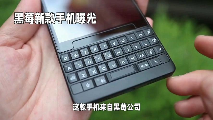 黑莓视频2026