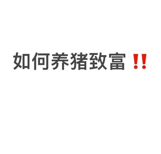 致富经下载官方网站2026