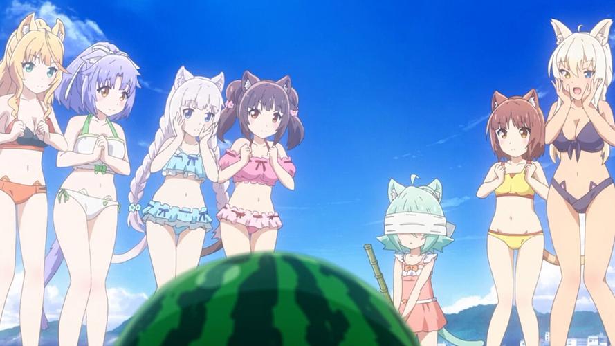 猫娘乐园下载2026