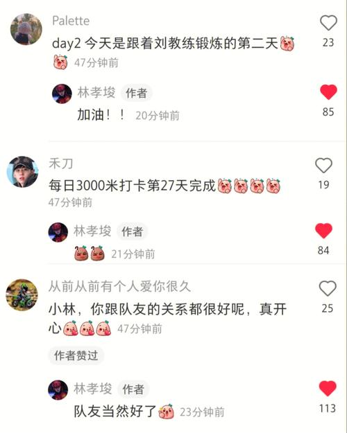 小红书免费下载2026