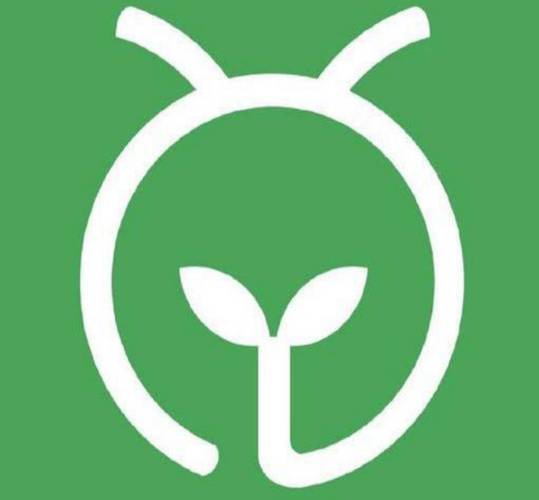 下载蚂蚁森林2026