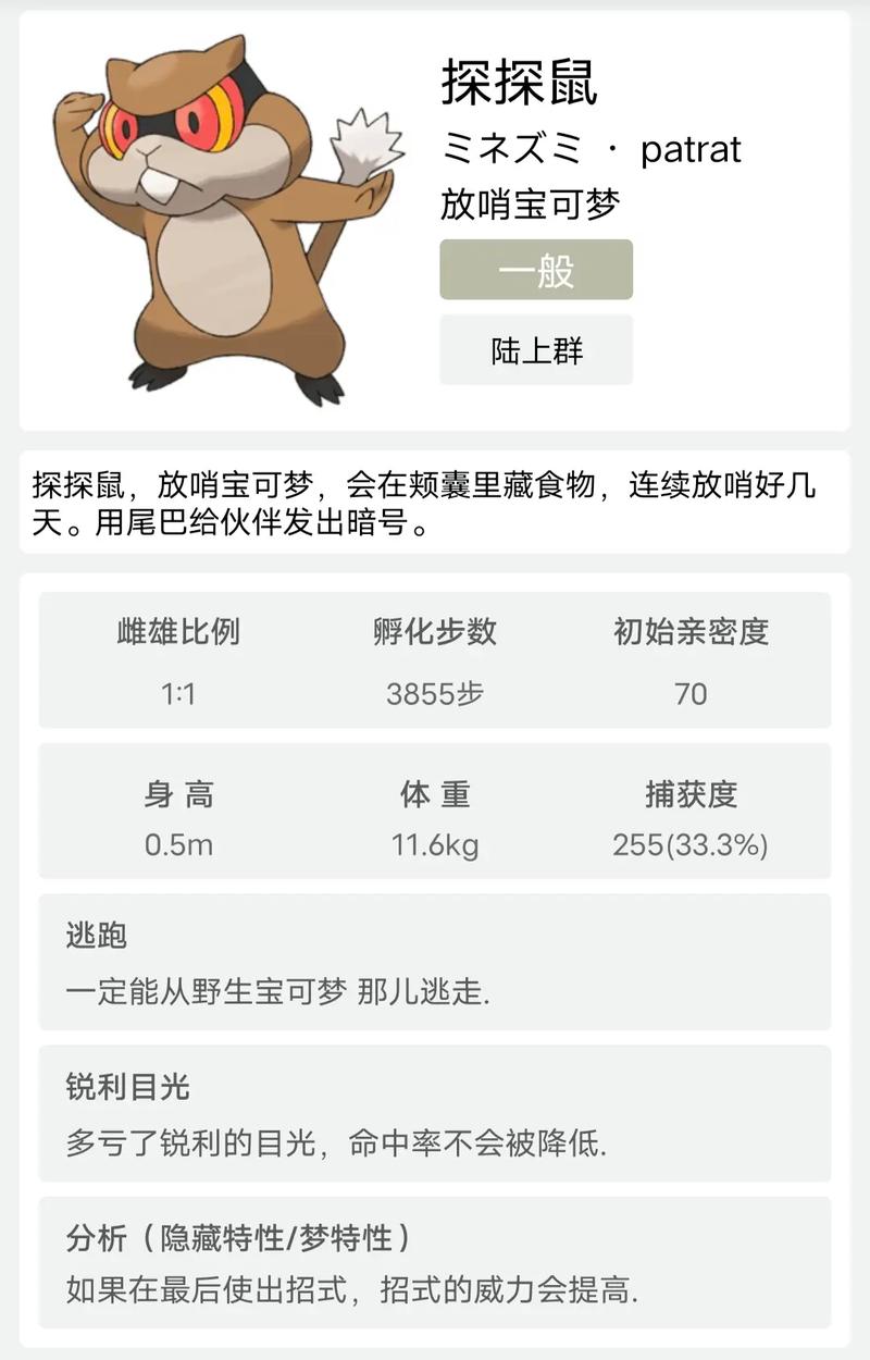 下载探探2026