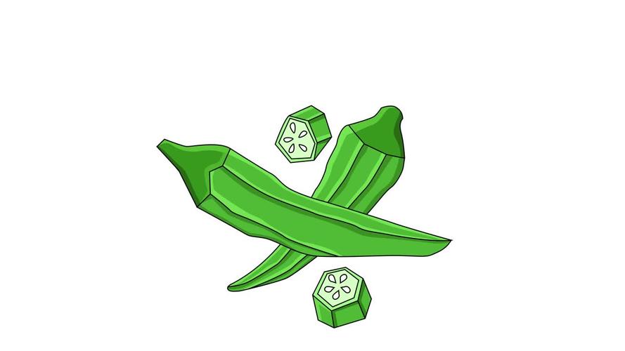 秋葵app下载2026