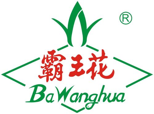 霸王下载2026