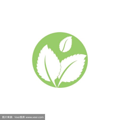 薄荷下载2026