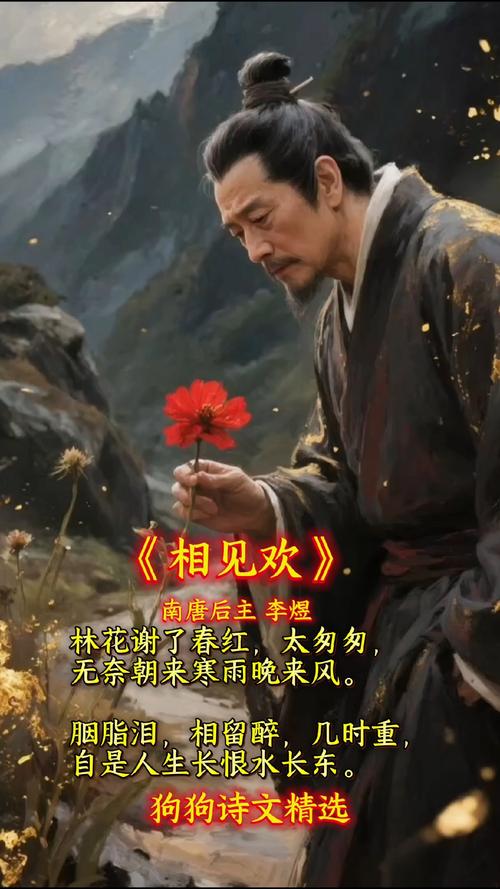 下载相2026