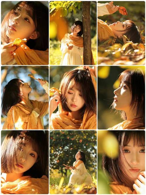 金色阳光下载2026