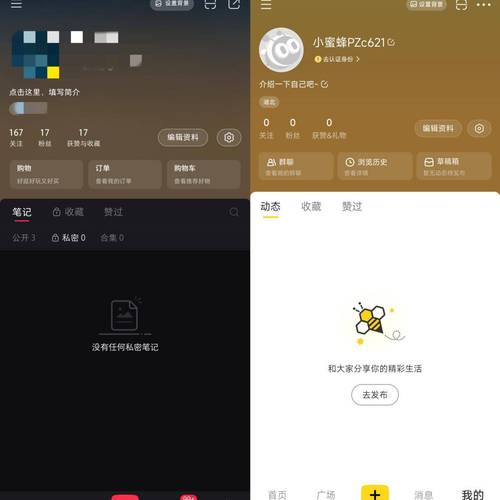 小蜜蜂直播下载2026