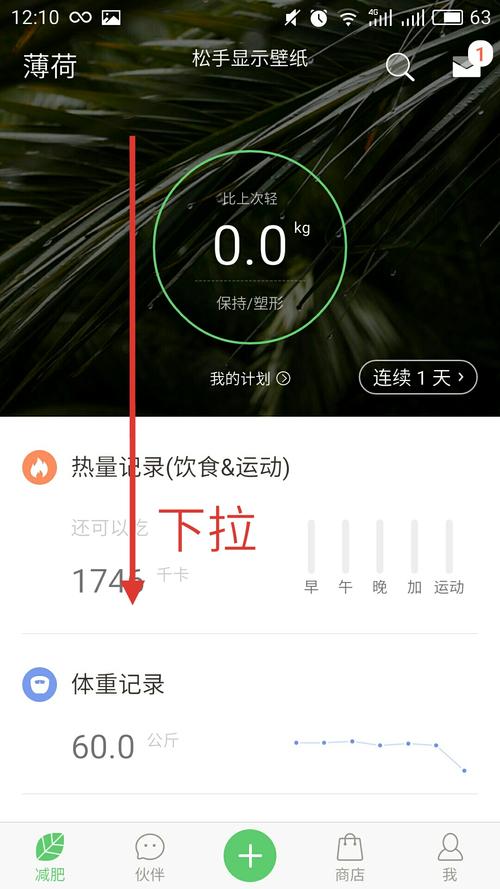 薄荷下载2026