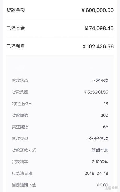 汤姆 下载2026