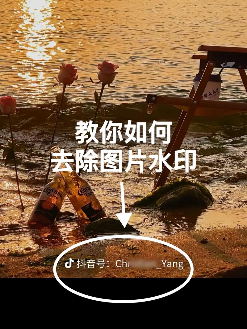 视频图片2026